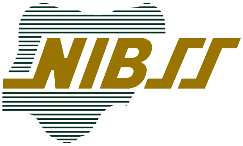 NIBSS Logo